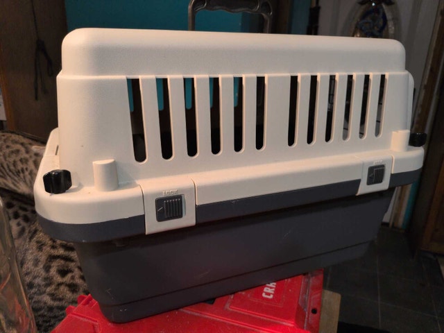 Essentials pet carrier