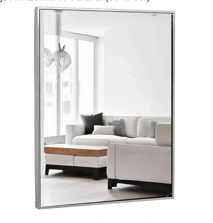Hamilton Hills 30 x 40 Inch Brushed Silver Wall Mirror