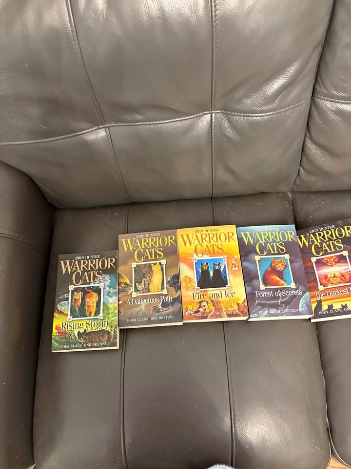 Warrior Cats 11 Book Set - Full Arc 2 + Arc 1 Books