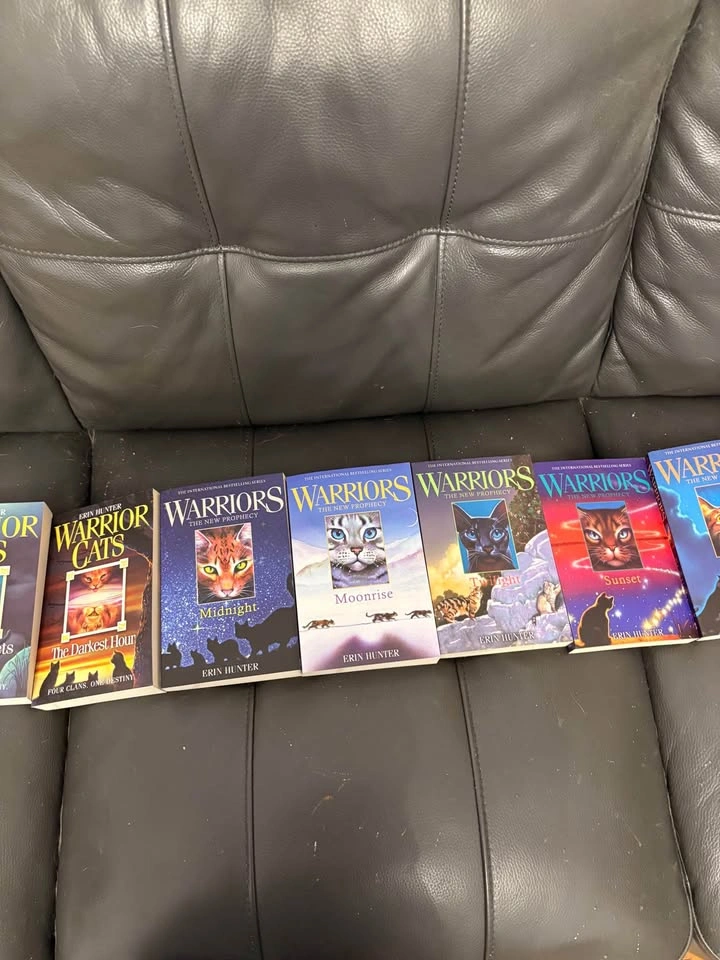 Warrior Cats 11 Book Set - Full Arc 2 + Arc 1 Books - photo 2