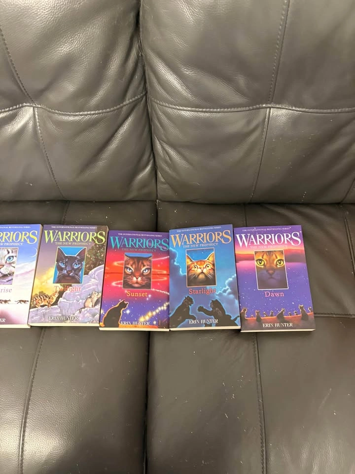 Warrior Cats 11 Book Set - Full Arc 2 + Arc 1 Books - photo 3