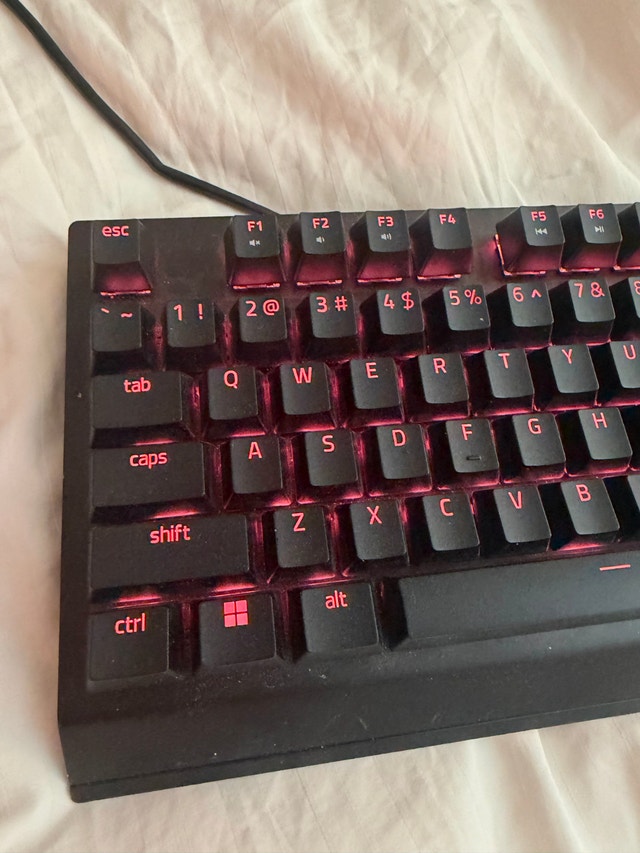 Razer Blackwidow V3 keyboard - photo 2
