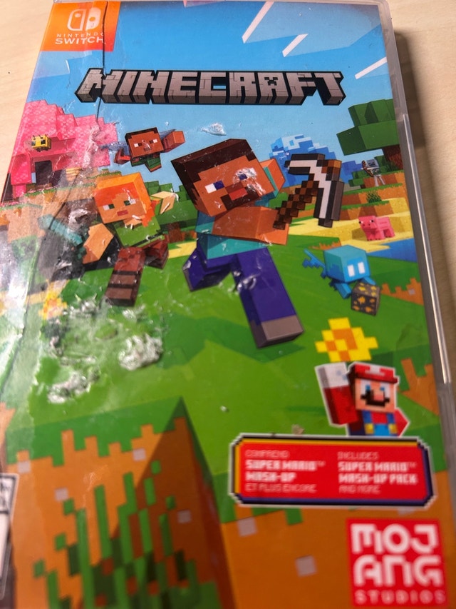 Minecraft Nintendo Switch
