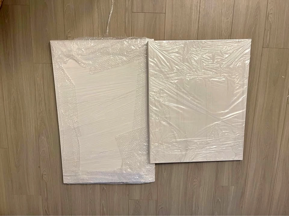 2 Blank White Canvas