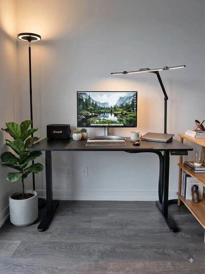 Black Electric Standing Desk