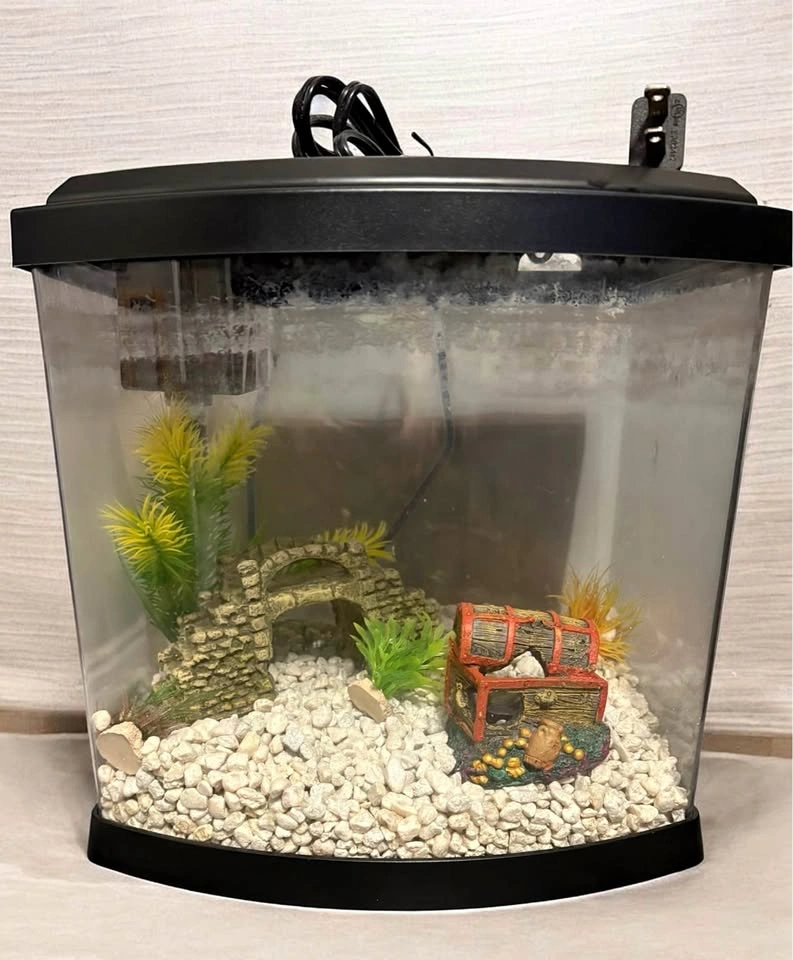Top Fin Bowfront Aquarium 2.5 Gal. GUC