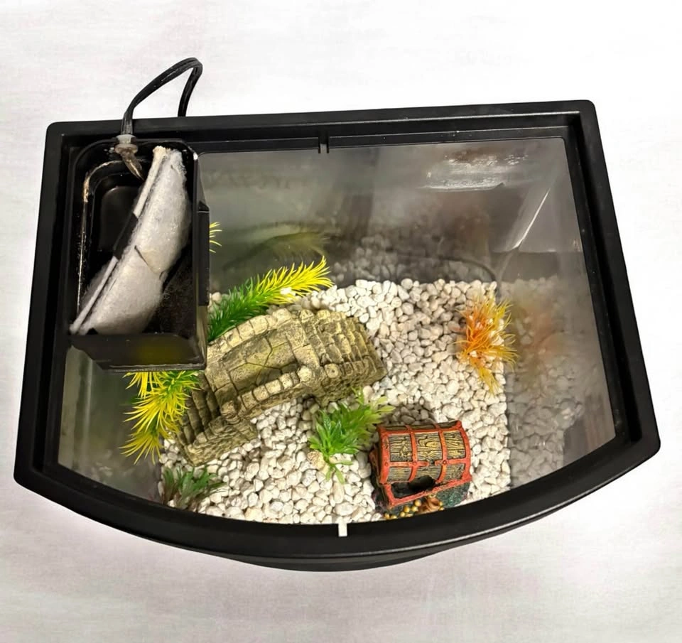 Top Fin Bowfront Aquarium 2.5 Gal. GUC - photo 3