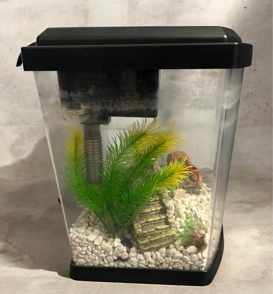 Top Fin Bowfront Aquarium 2.5 Gal. GUC - photo 5