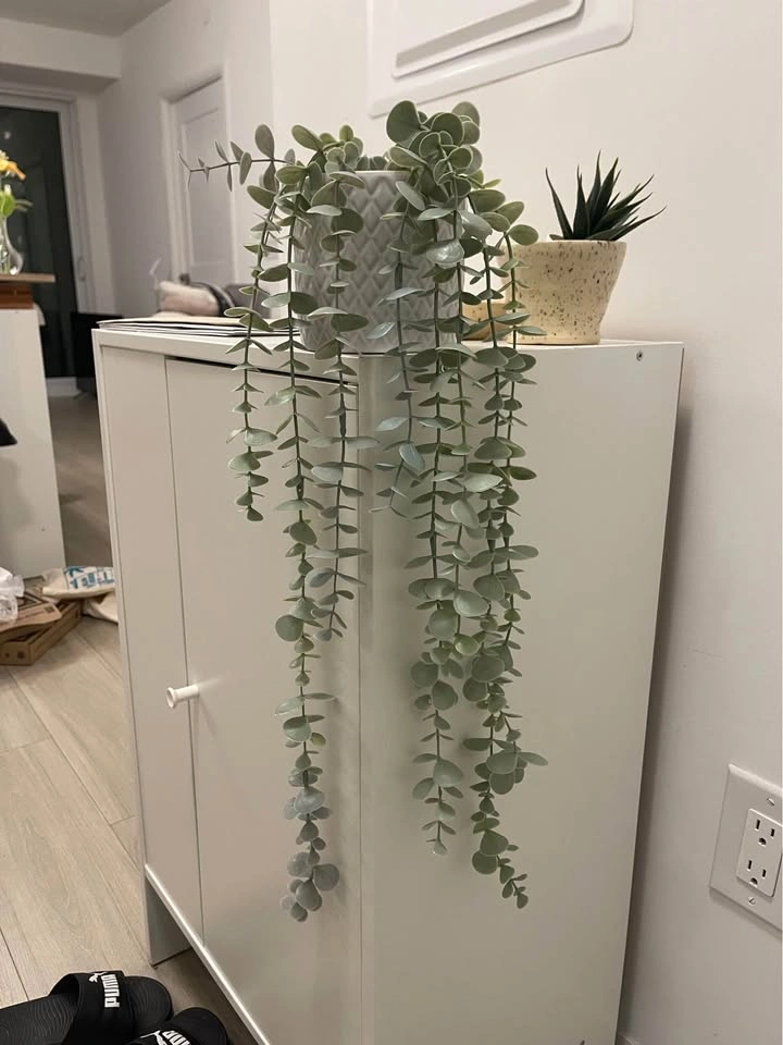 IKEA various home decor pieces - moving sale - photo 4