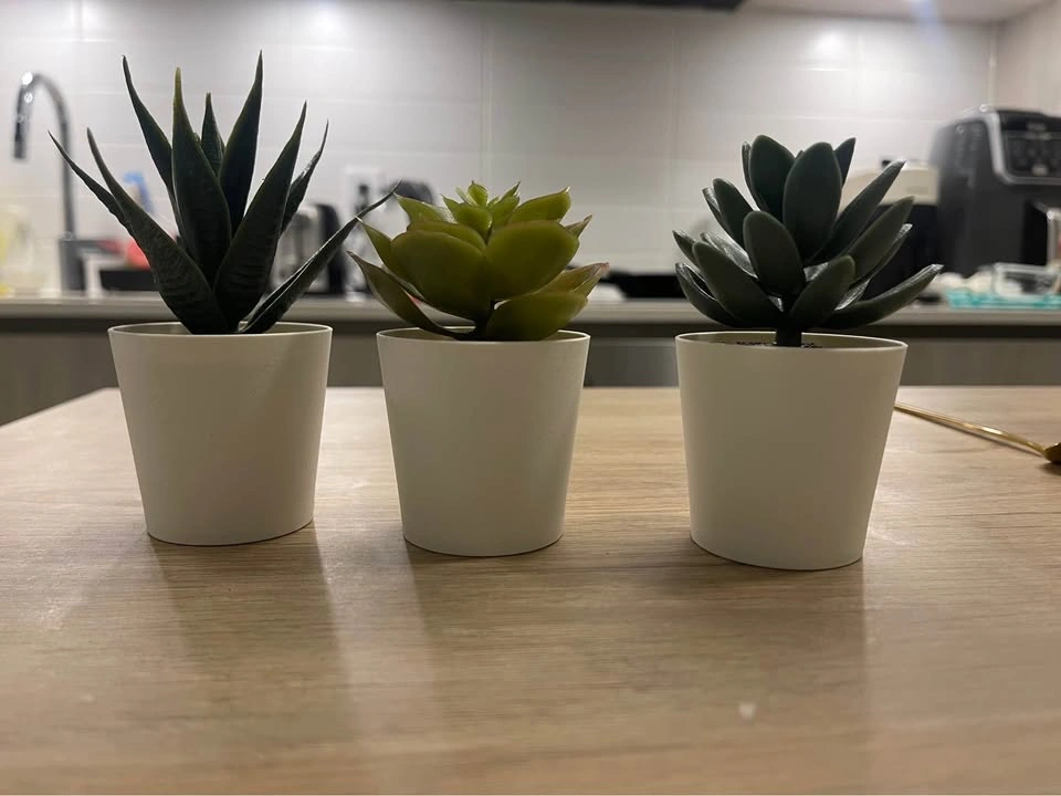 IKEA various home decor pieces - moving sale - photo 5