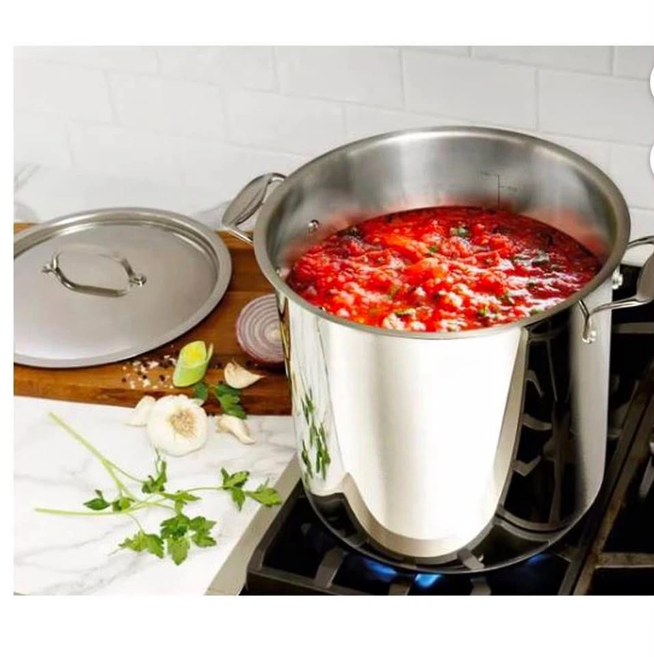 Bergner Stock Pot 16L/16Qt brand new