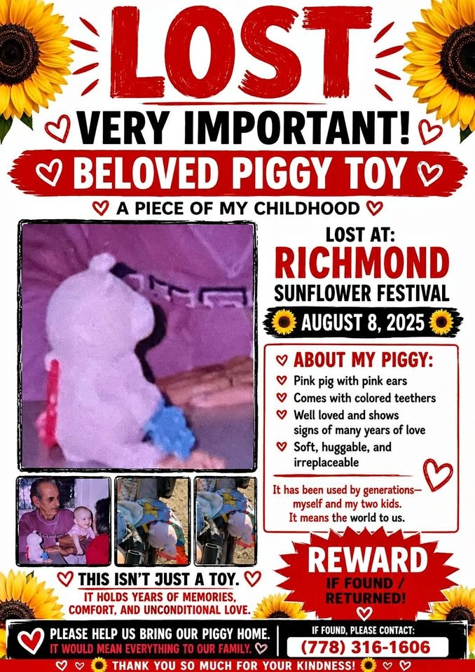 LOST TOY