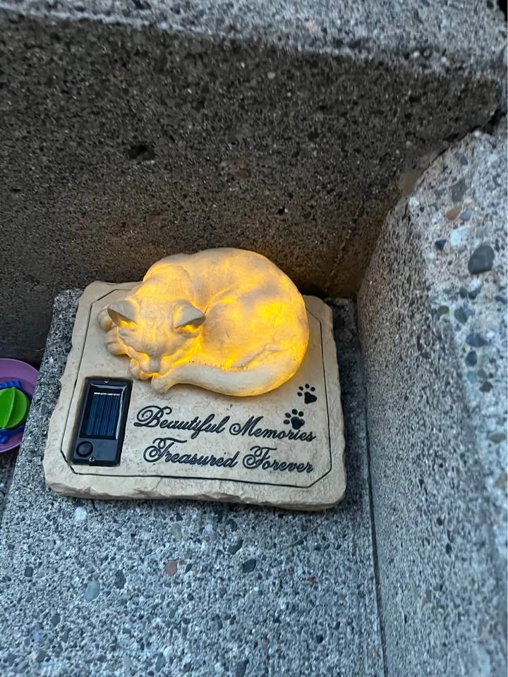 Memorial Stone Pet Cat Garden Stone Solar Light - photo 4