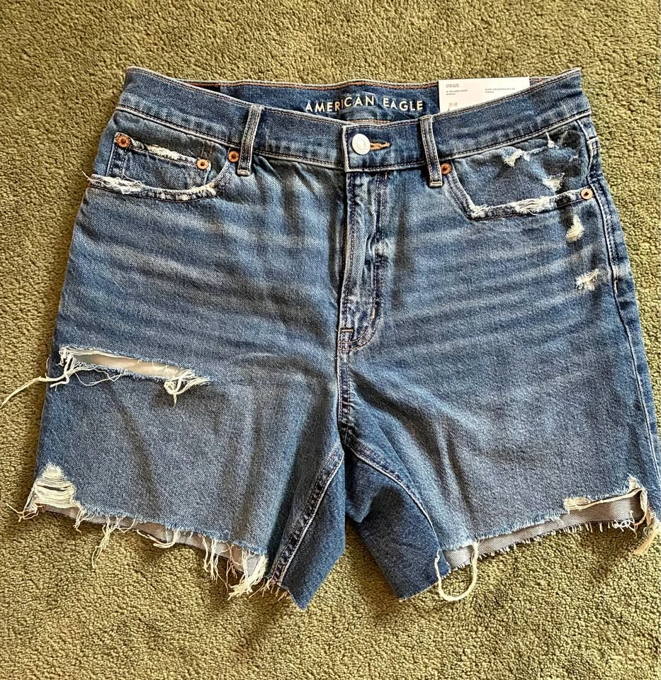 American Eagle 6" Relaxed Short Size 6