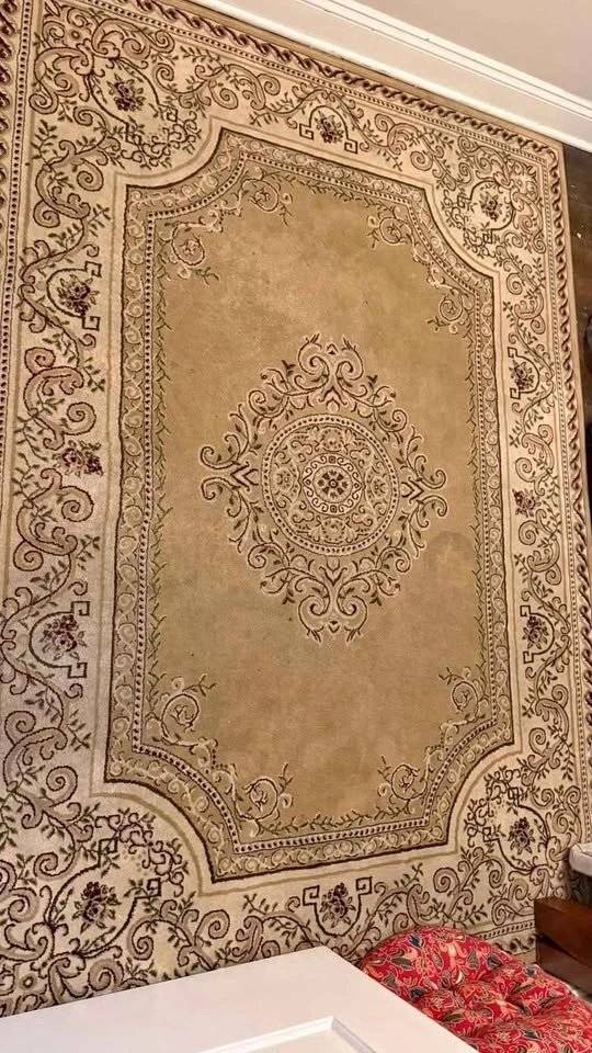 Area rug (7X 5'3)