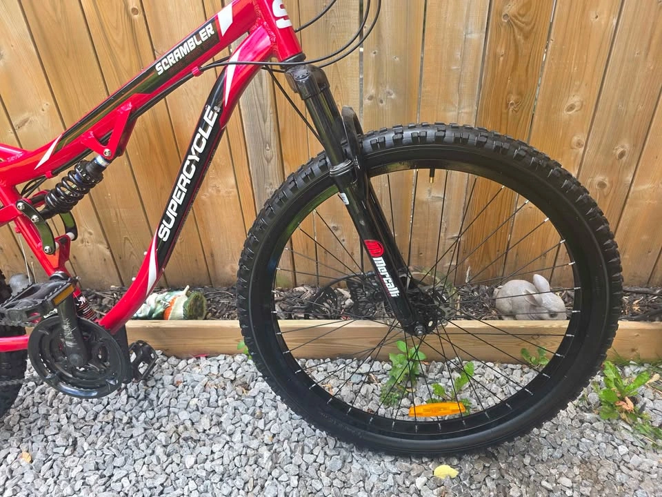 Bicycle big - photo 3