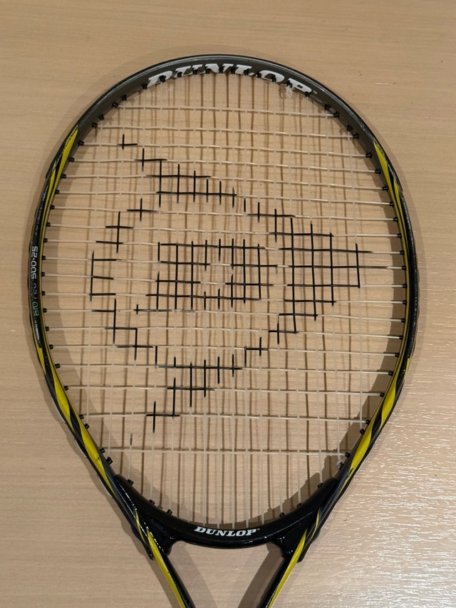 Dunlop Biomimetic 500-25 Junior Tennis Racket - New Grip - photo 4