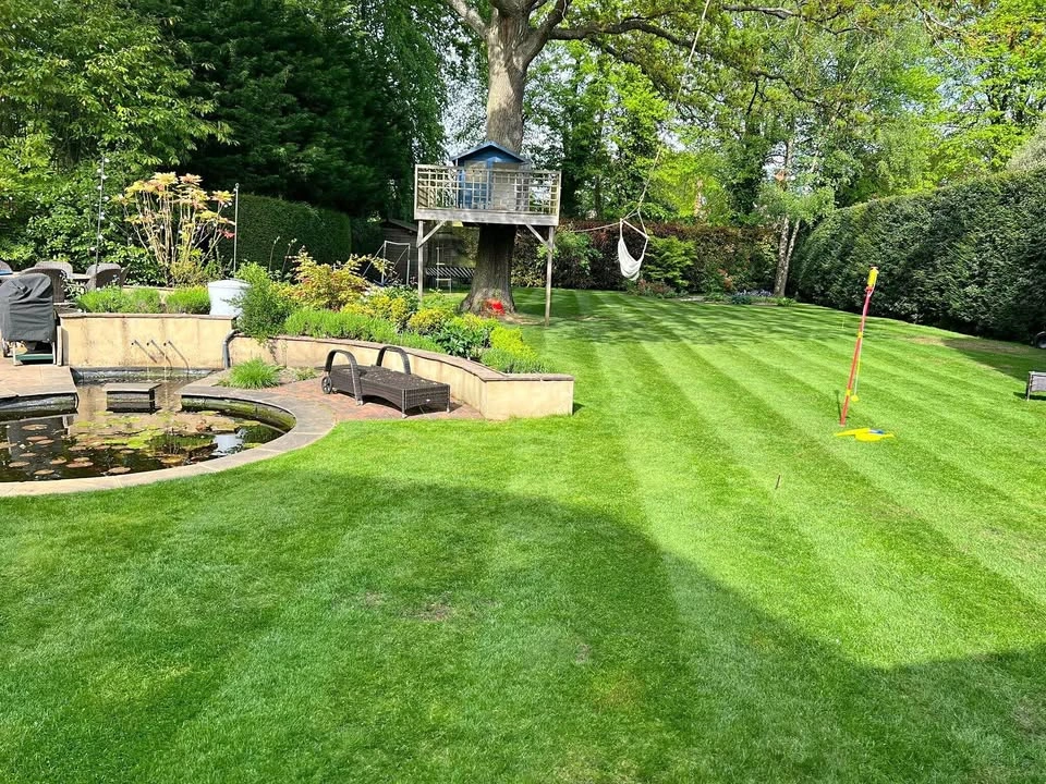 Lawn care