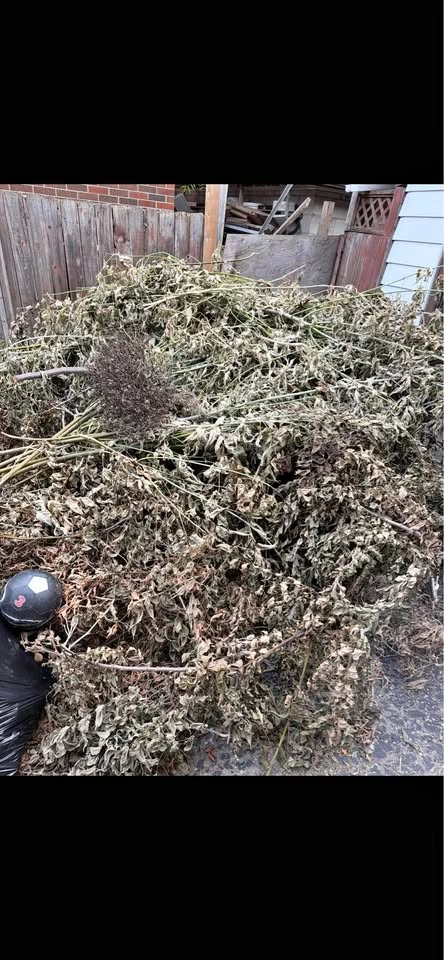 Junk removal