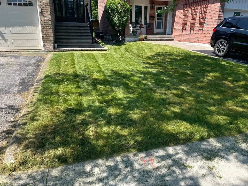 Grass cutting for sale