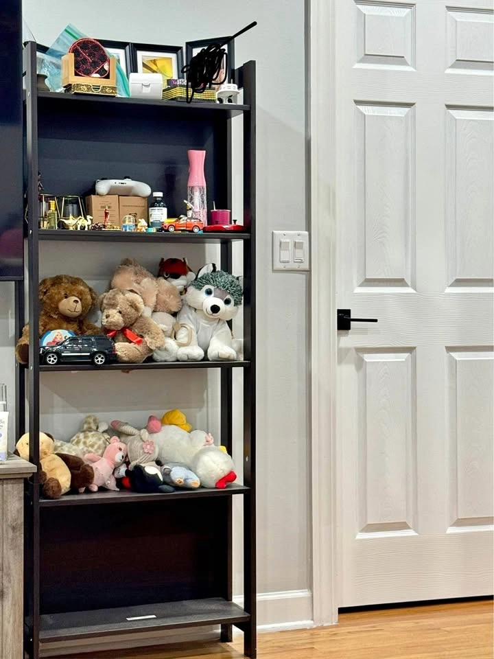 2 Bookshelves