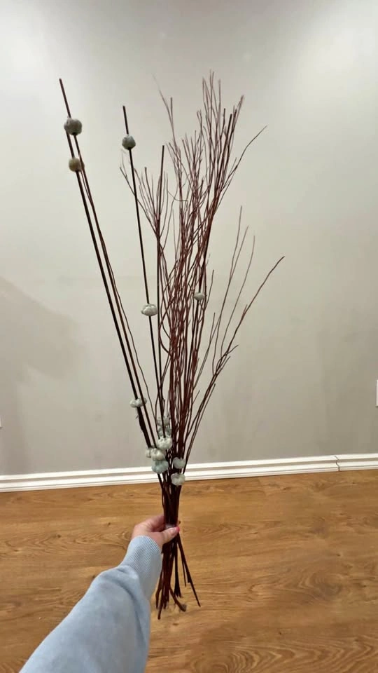 Dry Decor Stems