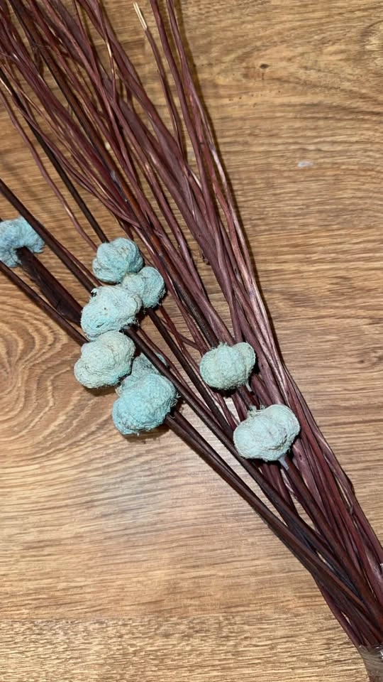 Dry Decor Stems - photo 2