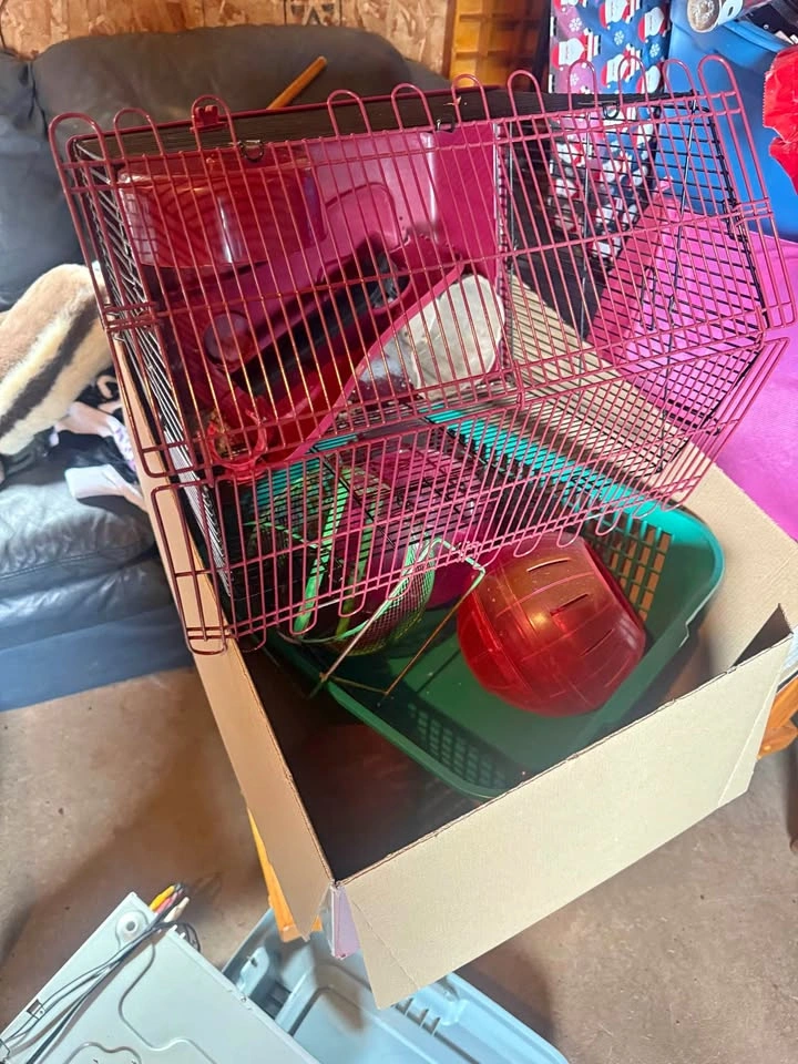 Hamster items