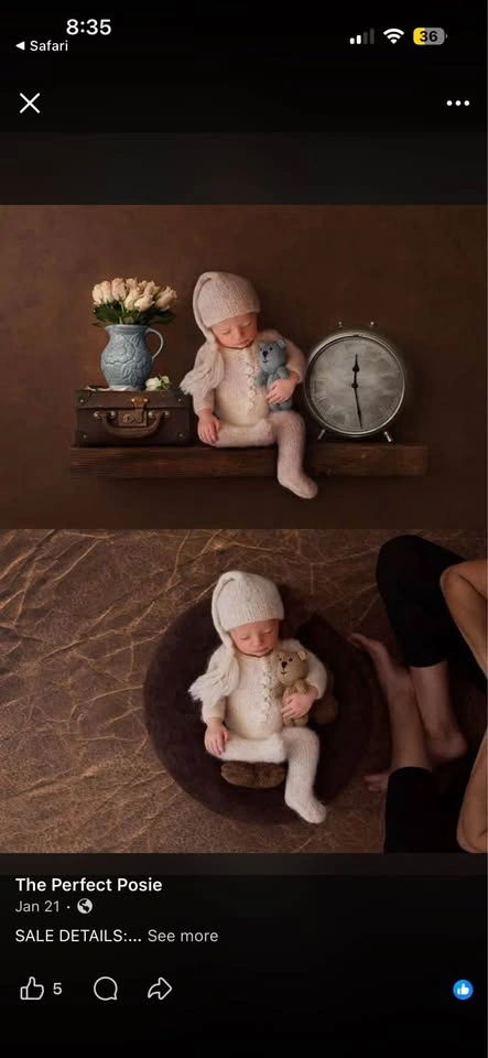 The Perfect Posie Newborn Posing Pillow - photo 2