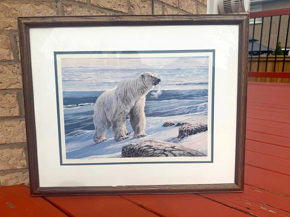 Framed Polar Bear Wildlife Art Print – Large Wall Decor