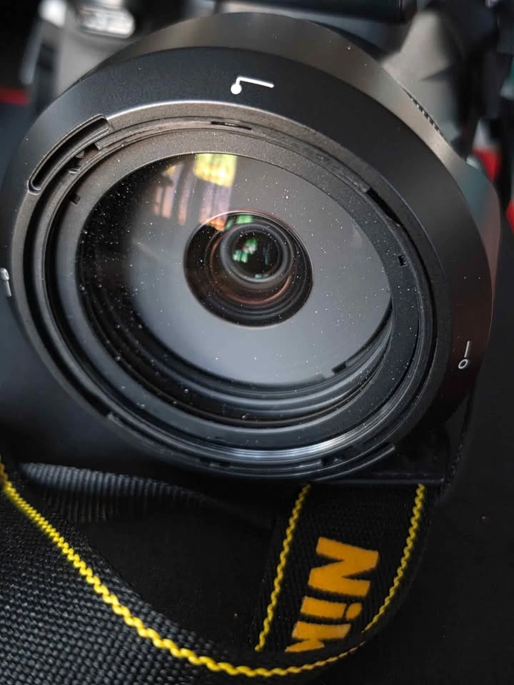 Nikon P1100 - photo 3