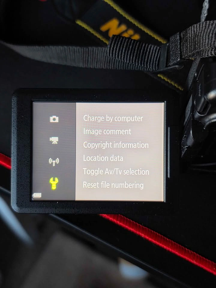 Nikon P1100 - photo 4