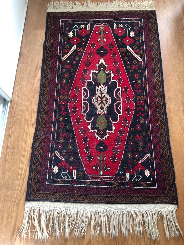 Hand-Woven Persian Style Area Rug