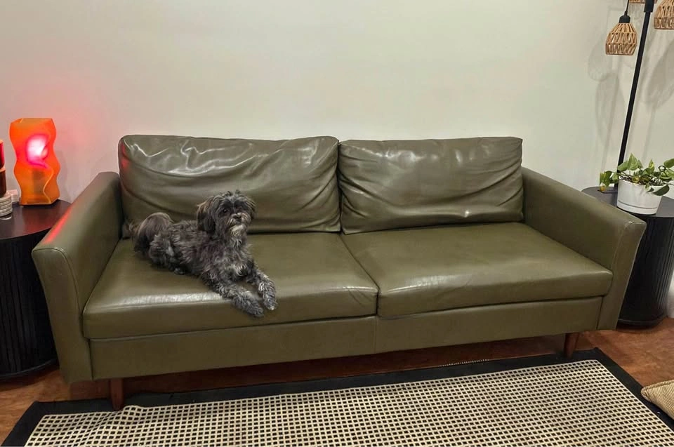 Olive Green Leather Couch