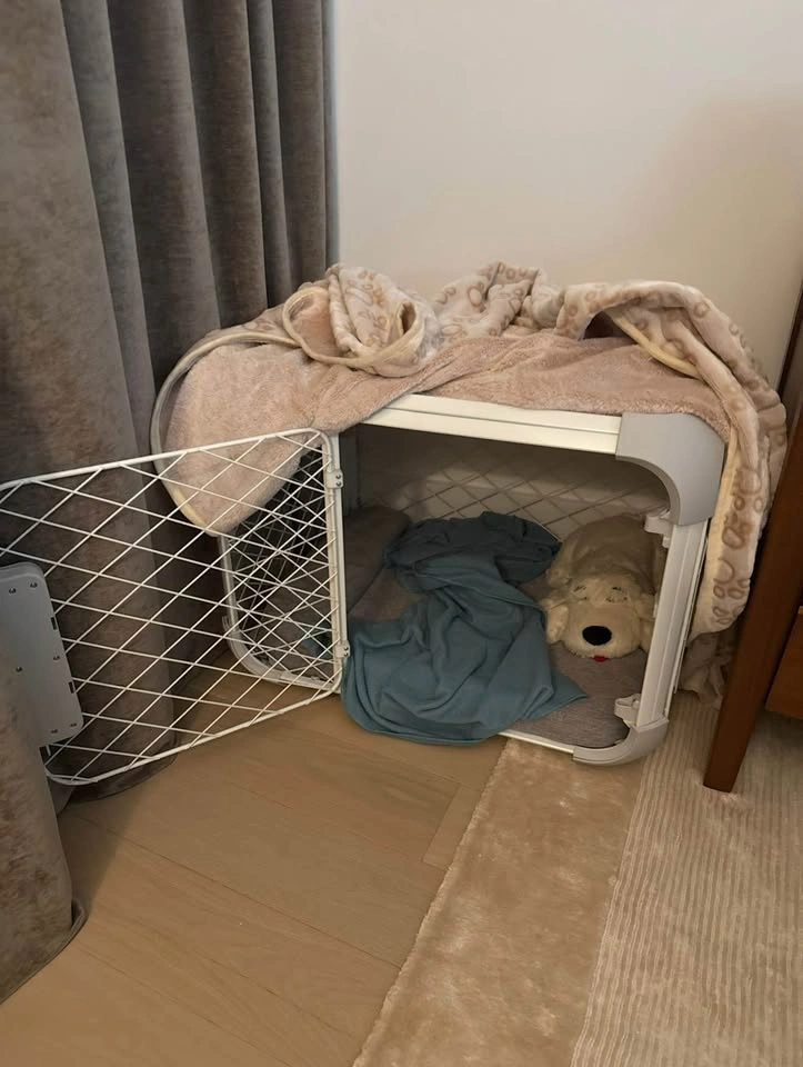 Diggs Evolv Dog Crate + Bed (small) - photo 4