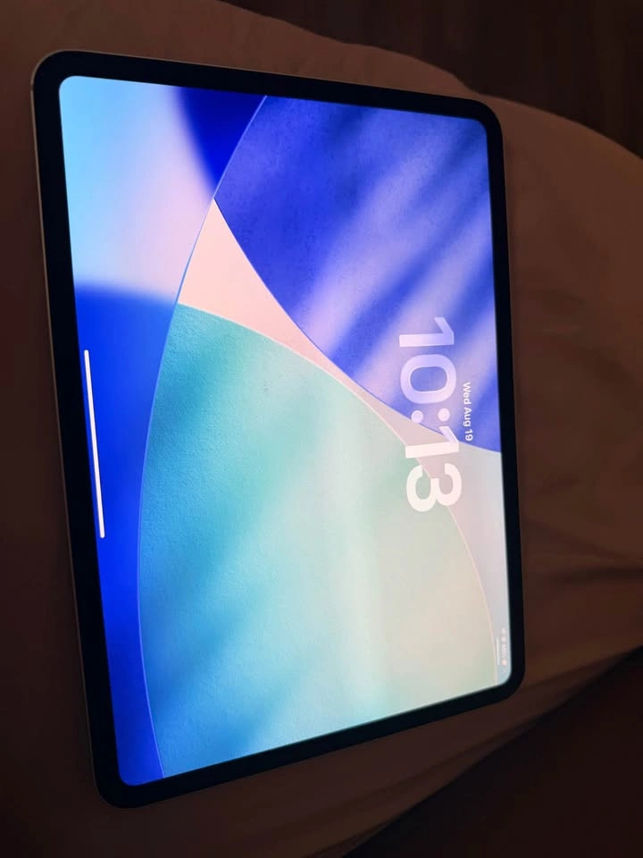 Apple iPad Pro 11 inch M4 - photo 3