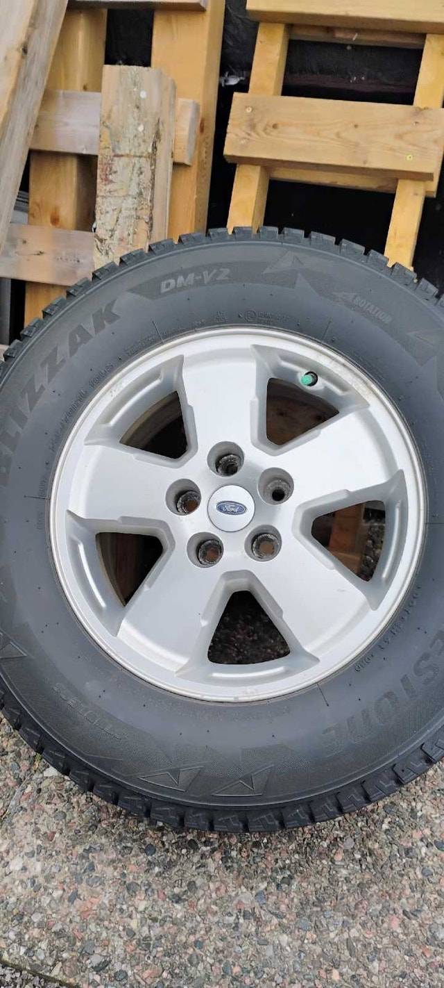 Bridgestone Blizzak DM-V2 235/70/16