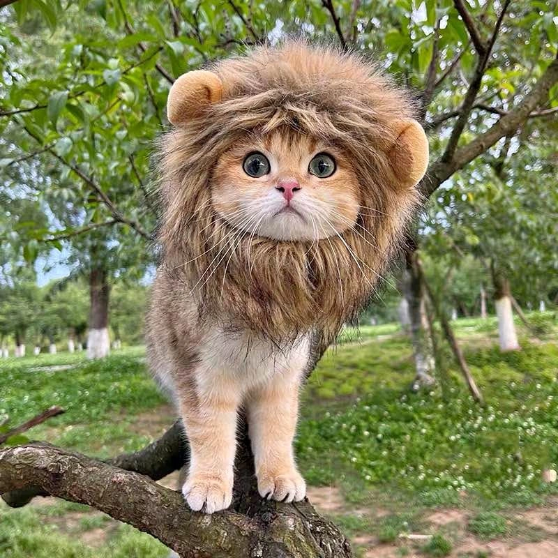 Cute Lion Mane Cat/Dog Costume Hat – $5