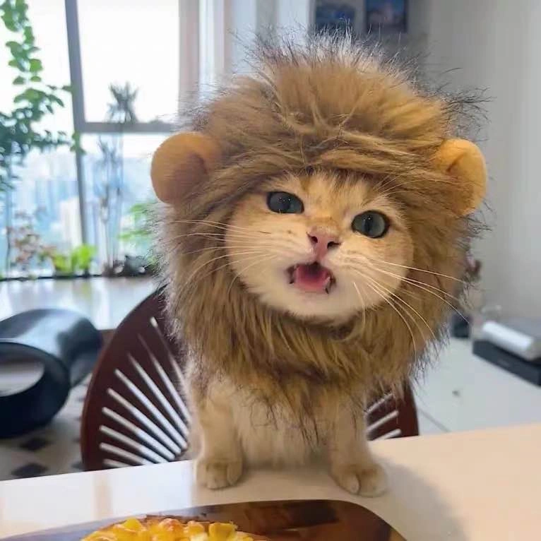Cute Lion Mane Cat/Dog Costume Hat – $5 - photo 2
