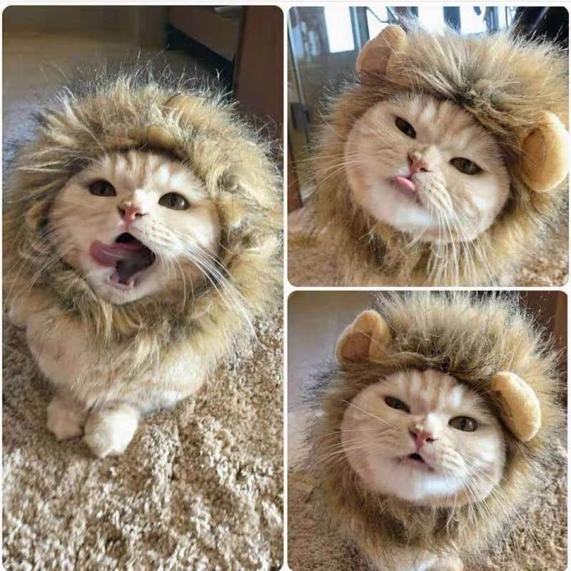 Cute Lion Mane Cat/Dog Costume Hat – $5 - photo 4