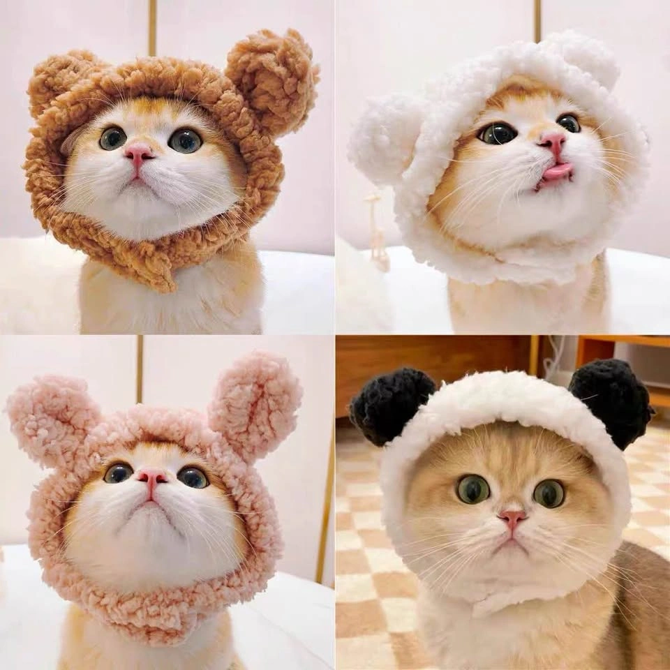 Cute Cat/Dog Bear Hat – Panda or White Bear – $5 Each