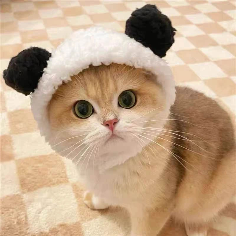 Cute Cat/Dog Bear Hat – Panda or White Bear – $5 Each - photo 2