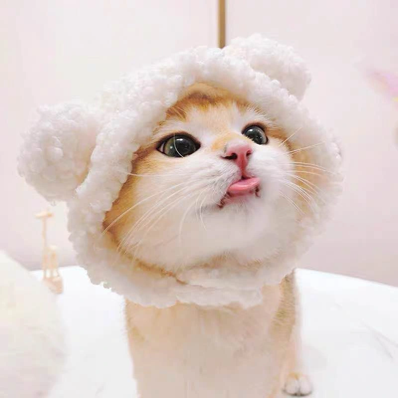 Cute Cat/Dog Bear Hat – Panda or White Bear – $5 Each - photo 3