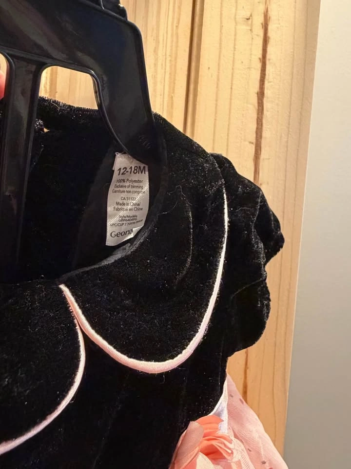 12 & 18 Month Infant Dresses - photo 3