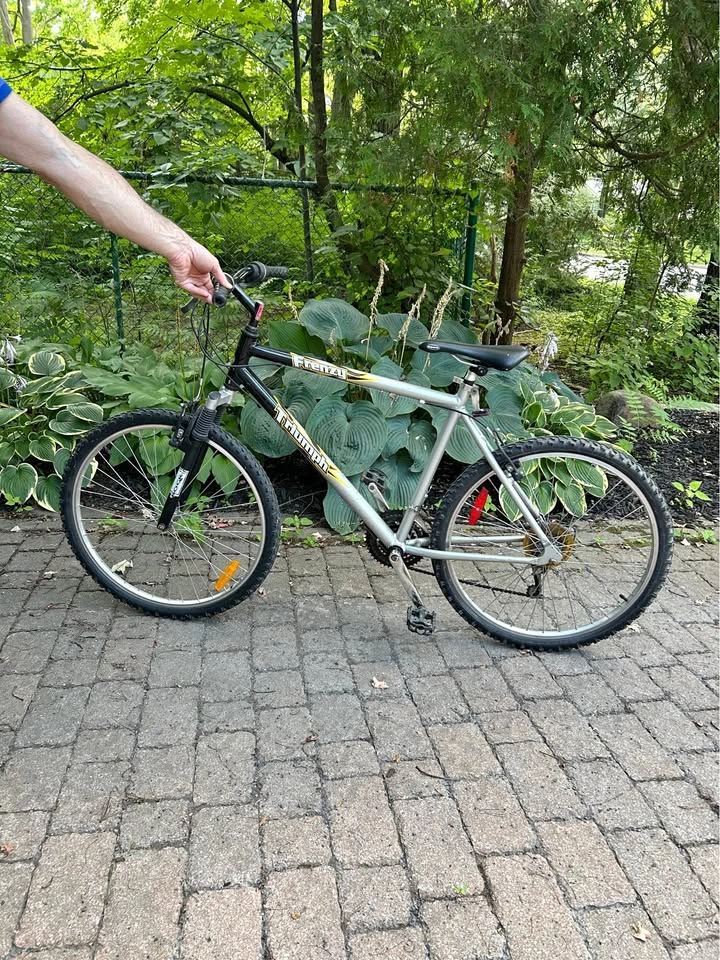 Triumph Frenzy Mountain Bike