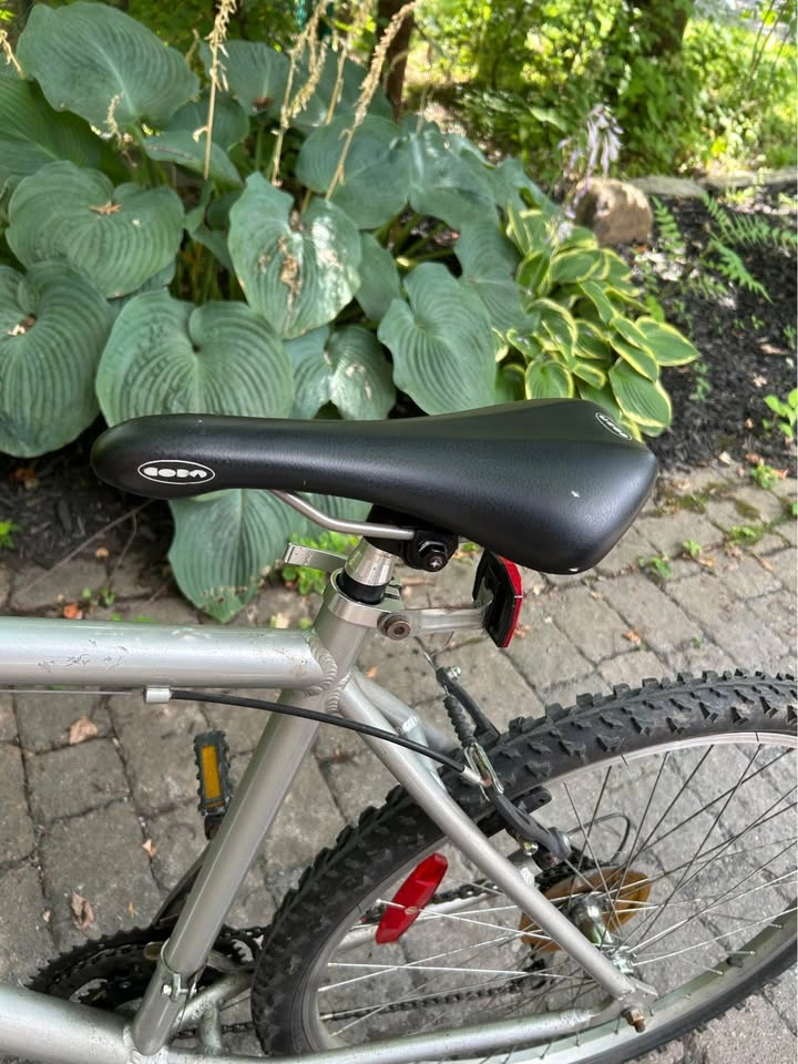 Triumph Frenzy Mountain Bike - photo 2