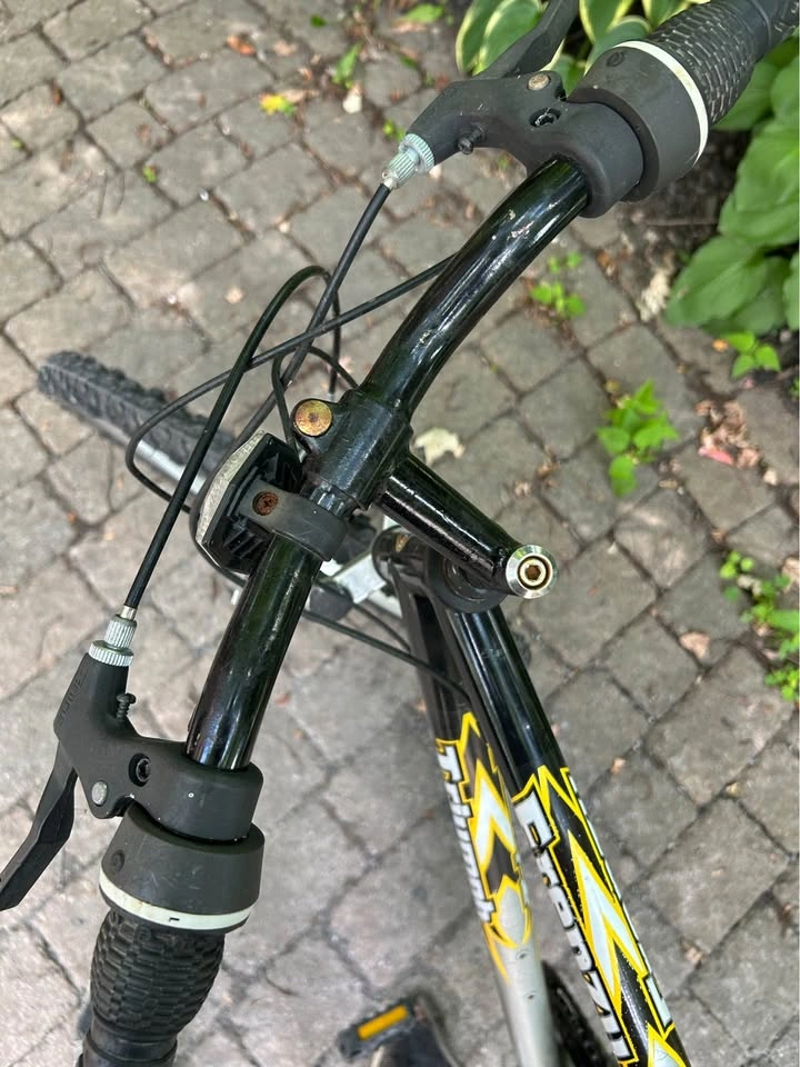 Triumph Frenzy Mountain Bike - photo 4