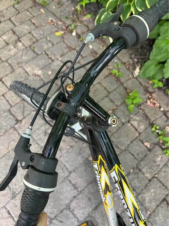 Triumph Frenzy Mountain Bike - photo 5