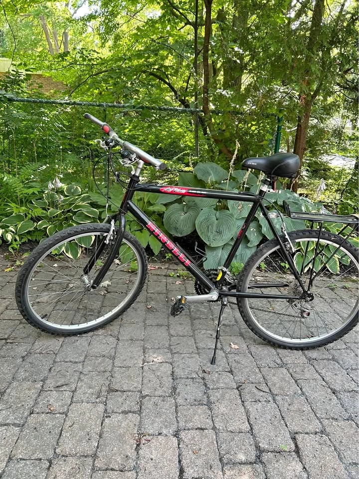 Minelli Mt Diablo Mountain Bike