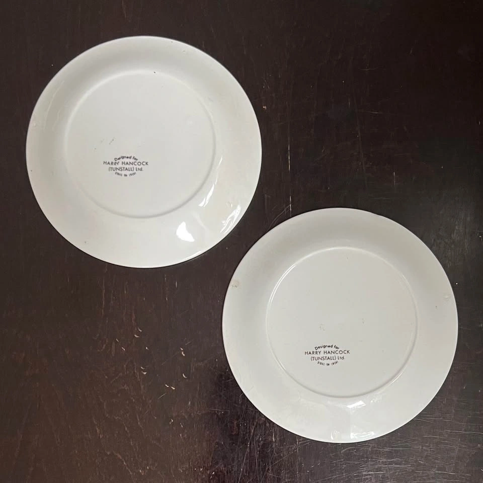 Vintage Harry Hancock Tunstall Ltd Decorative Souvenir Plates - photo 2